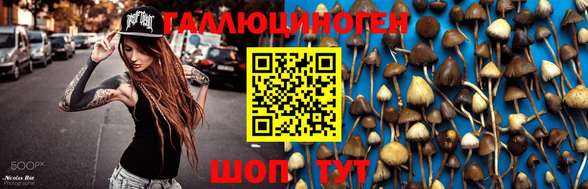 Галлюциногенные грибы мухоморы  Псилоцибиновые грибы Psilocybine cubensis  Балабаново 