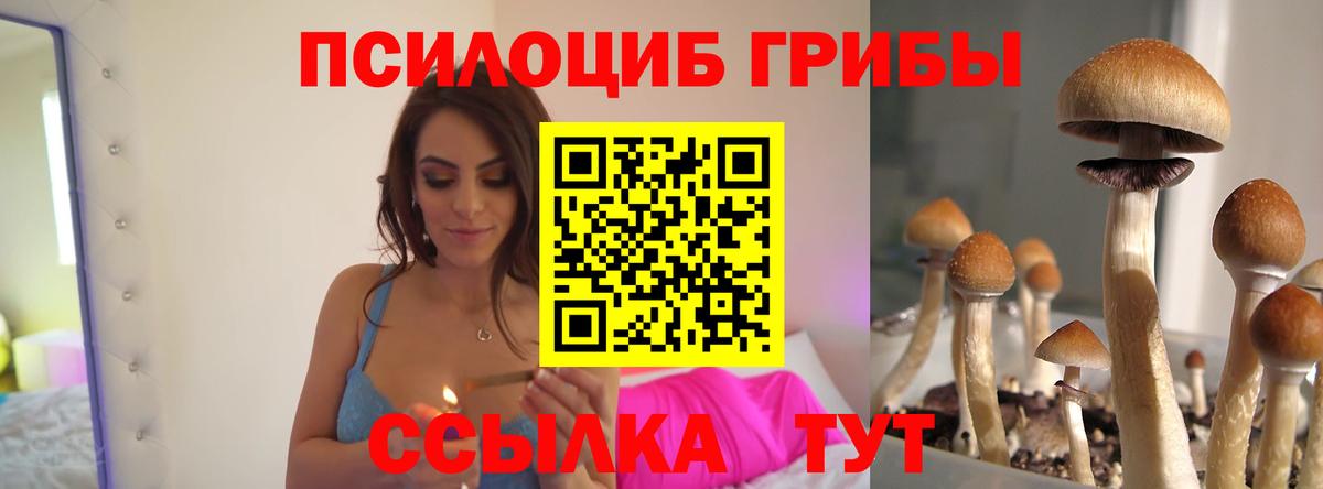 Псилоцибиновые грибы Cubensis Балабаново
